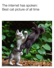 Fight me