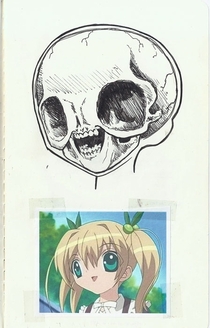 Figuring out how the skull of this anime person would look since her mouth is almost in line with where her eyes start