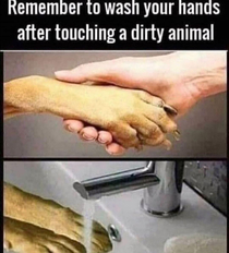 Filthy humans