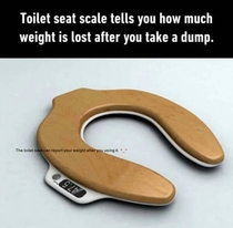 Finally a handy way to measure the weight of my dumps