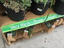 Finally a plant marketed to me