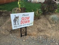 Finally An honest yard sign