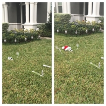 Finally finished the Christmas decorations