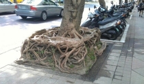 Finally found the square root