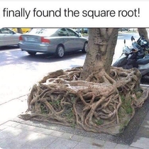 Finally found the square root