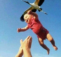 Finally someone managed to photograph how babies are actually born