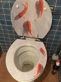 finna drop a bomb in the goldfish toilet