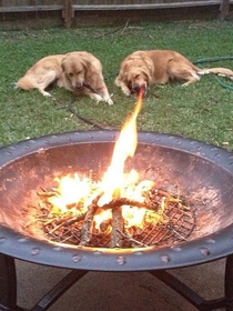 Fire breathing dog