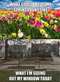 First day of Spring my ass