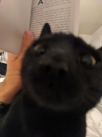 First person view of attempting to read