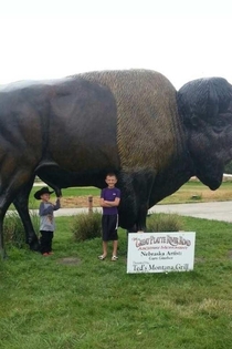 First post Took picture of my nephews on family vacation