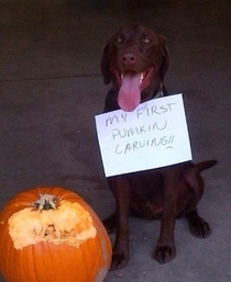 First pumpkin carving