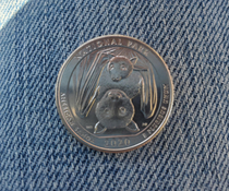 First  US Quarter Ive seen and it has a bat on it