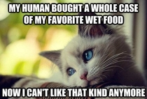 First World Cat Problems