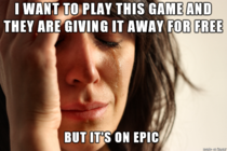 First world gamer problems
