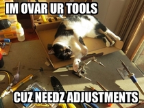 Fixing the cat