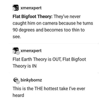Flat Bigfoot
