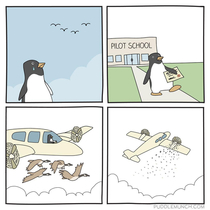 Flight of the penguin