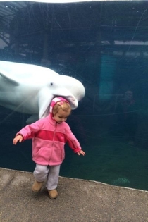 Flipper stop eating my daughter