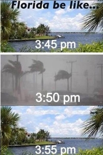 Florida in the summer