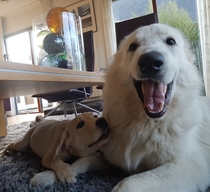 Floyd is always happy to see his best friend