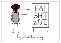 Fly Orientation Day
