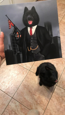 For our anniversary my boyfriend decided to get me a picture of my dog that does not reflect his personality whatsoever