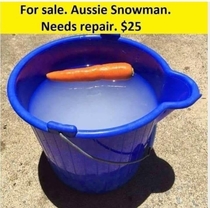 For Sale Aussie Snowman
