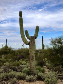 For those about to rock we salute you North of Tucson AZ