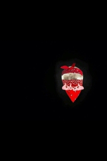 For those who didnt see the blood moon