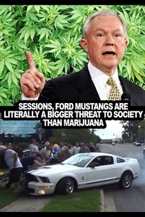 Ford Mustangs have killed way more people than pot ever will These are facts