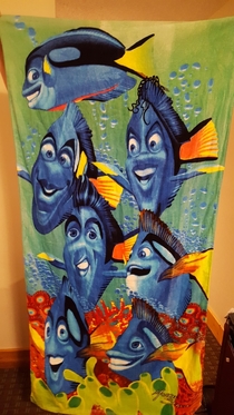 Forgot towels for a water park so we found this monstrosity