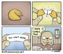 Fortune cookie