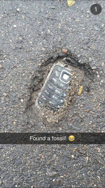 Found a fossil