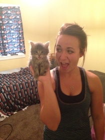 Found a kitten Shes a keeper
