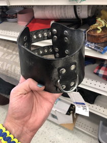 Found among the dog accessories at Goodwill