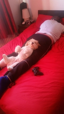 Found my boyfriend and dog taking a nap like this