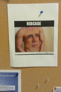 Found on a bulletin board at my college