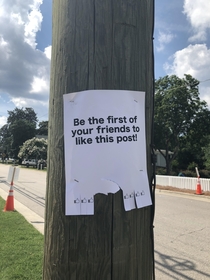 Found on a power line post