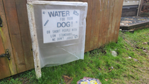 Found on a walk today