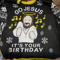 Found the perfect Christmas sweater