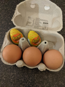 Found the perfect spot to hid these from my egg-hating Reeses-loving boyfriend