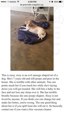 Found this ad while look at dogs on Craigslist I think Im going to pass