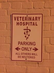 Found this behind a vet clinic in Charlotte