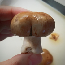Found this bella mushroom looking a little suspicious while making udon soup 