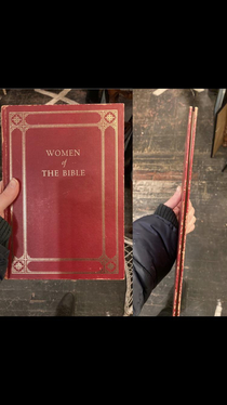 Found this book the other day while shopping