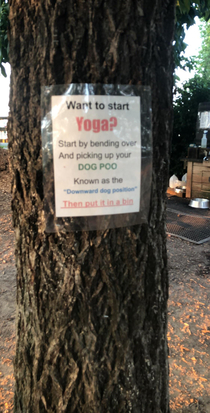Found this gem at my local dog park