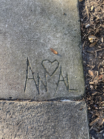 Found this gem on a sidewalk in Savannah today