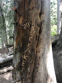Found this hiking recently Apparently I arrived a little late to the party