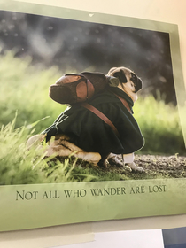 Found this in the hall of my school my brother loves pugs